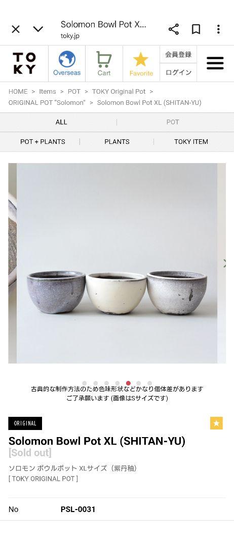 TOKY Solomon Bowl Pot XL ボウルポット 植木鉢 紫丹秞 Solomon Bowl Pot XL (SHITAN-YU) | 多肉植物・特別な鉢の販売