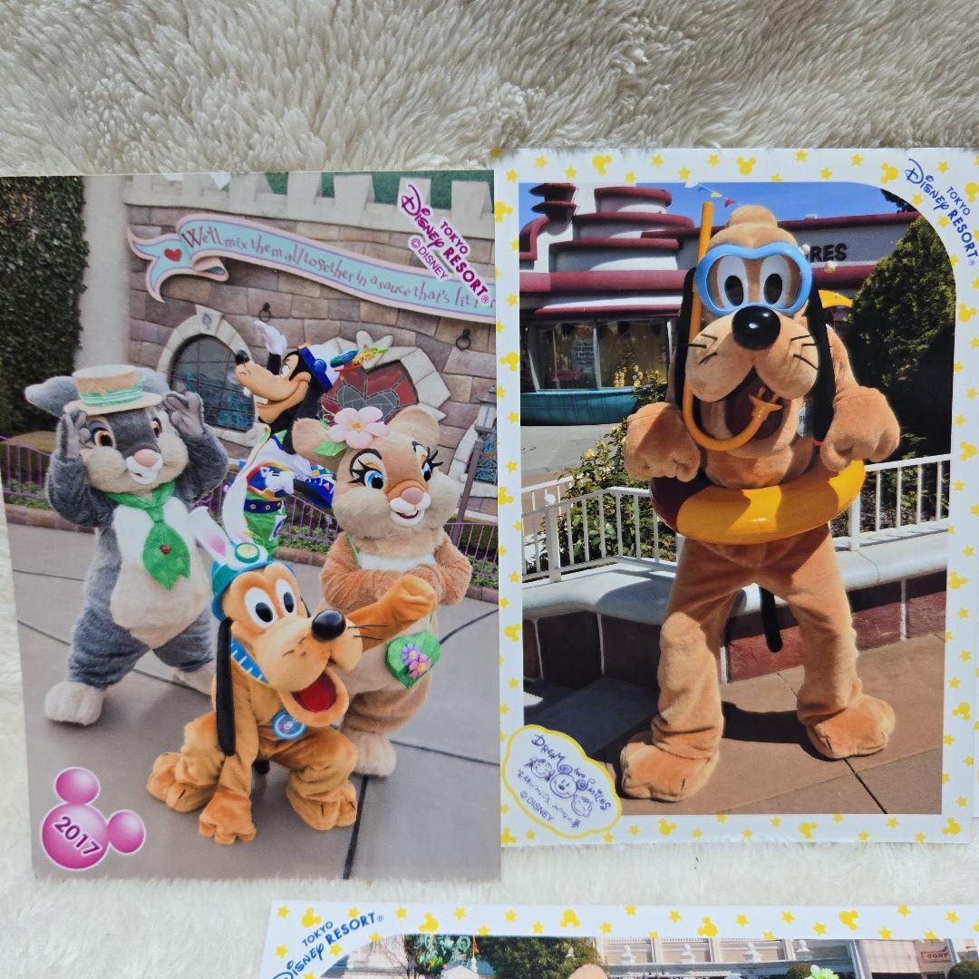 ディズニー　スペシャルフォト　ブロマイド　写真　まとめ売り スペシャルフォト まとめ売り - メルカリ