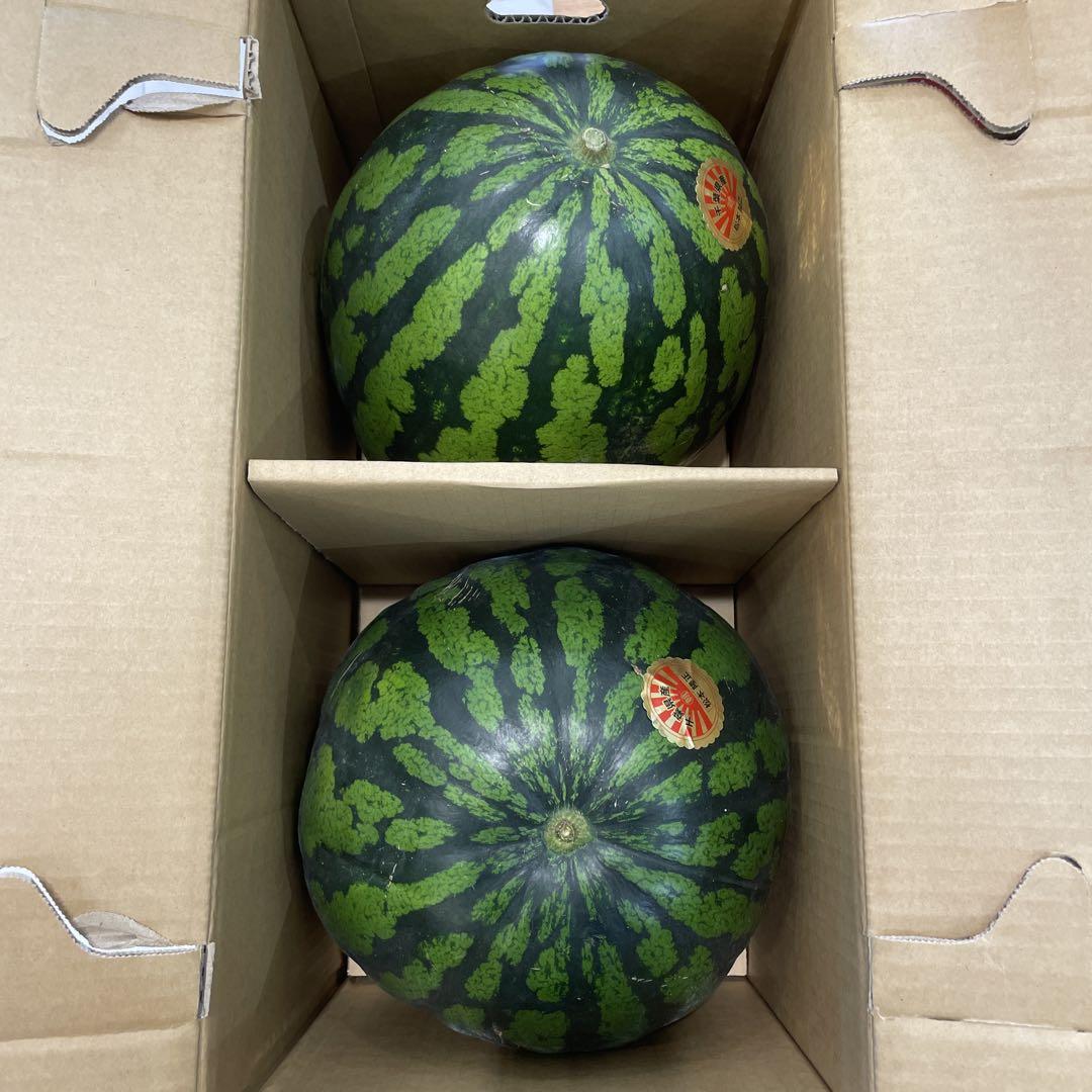 ms6千葉県産まる朝大玉スイカ良品4Lサイズ1箱2玉入り