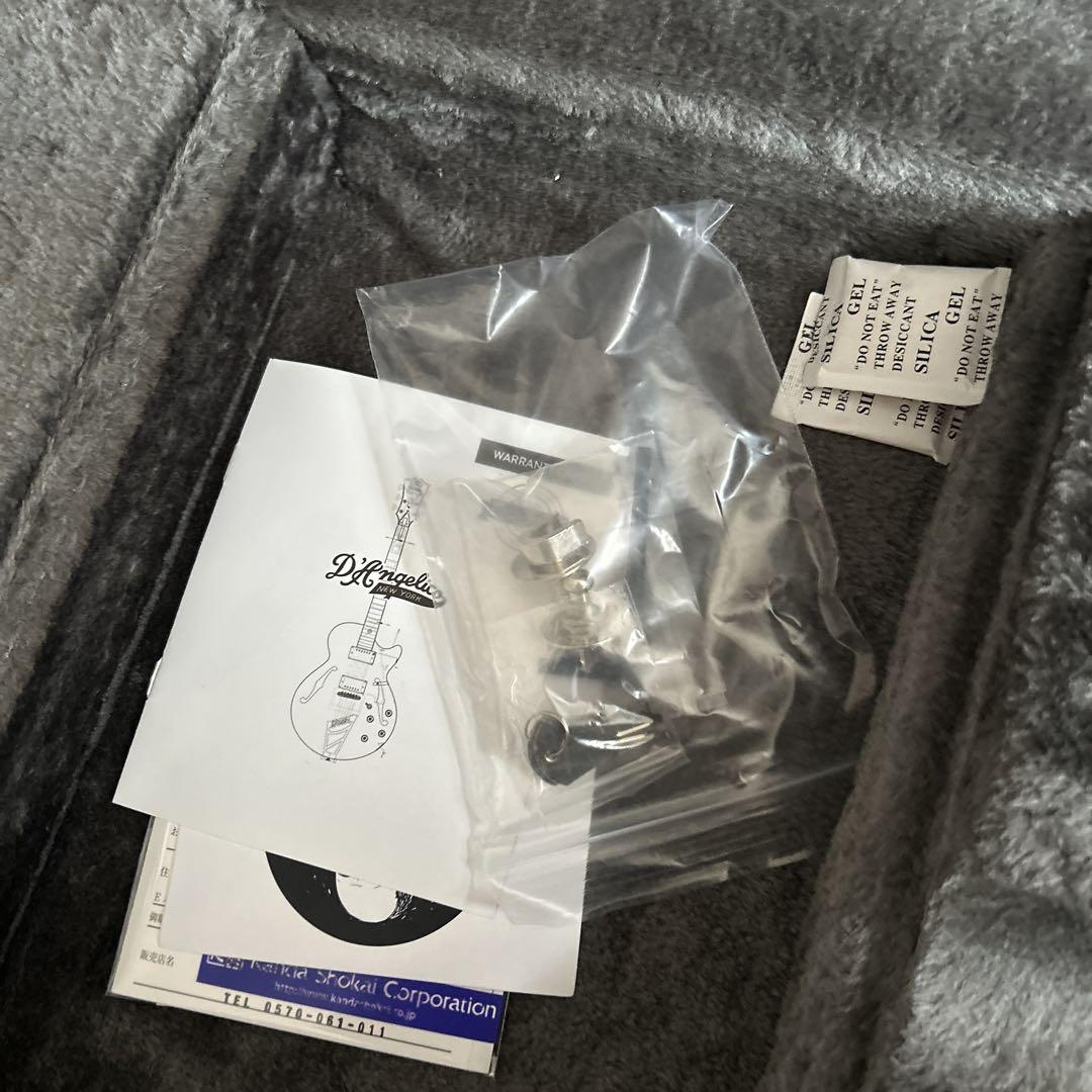 ゆうたろう　D'Angelico Deluxe Atlantic