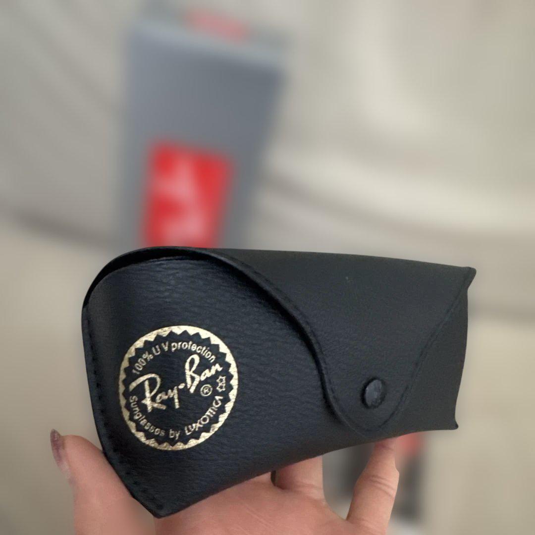 Ray-Ban ERIKA サングラス