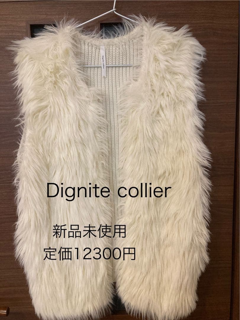 Dignite collier ニットファーベスト SIZE DIGNITECOLLIER