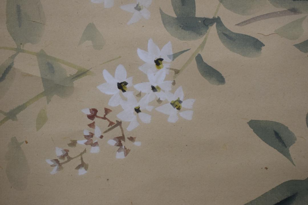 人気新作 真作 掛軸 宝船 Z-134 DA0nk-m81565027525 疋田芳沼 卯の花に燕図 国産正規品