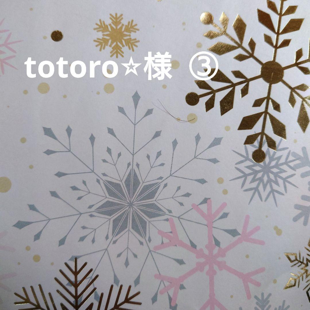 totoro⭐︎様  ご専用  ③