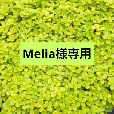 Melia✿お取引16日迄可能様専用です♪