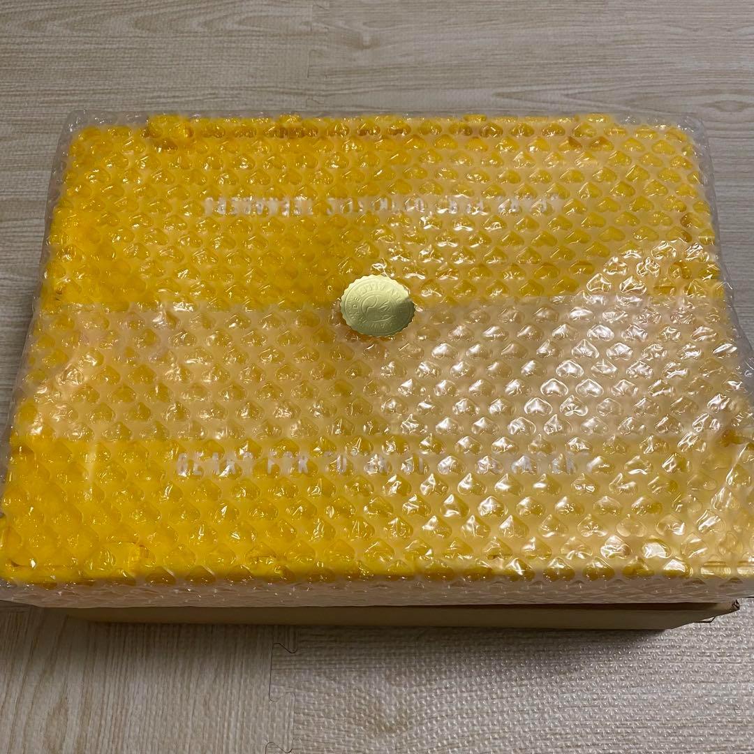 HUMAN MADE CONTAINER 20L⑤