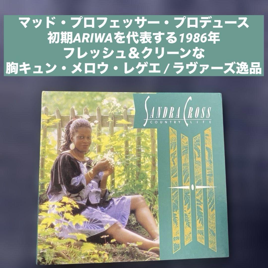 ARIWA MAD PROFESSOR 17枚 ラバーズロック Mad Professor マッド・プロフェッサー ダブ ラヴァーズロック