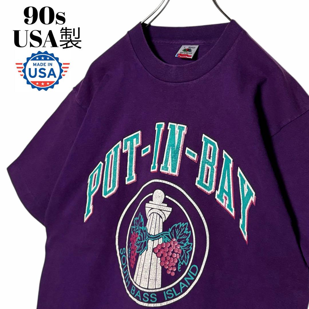 90sヴィンテージtシャツ 紫パープル L シングルステッチ Tシャツ USA製
