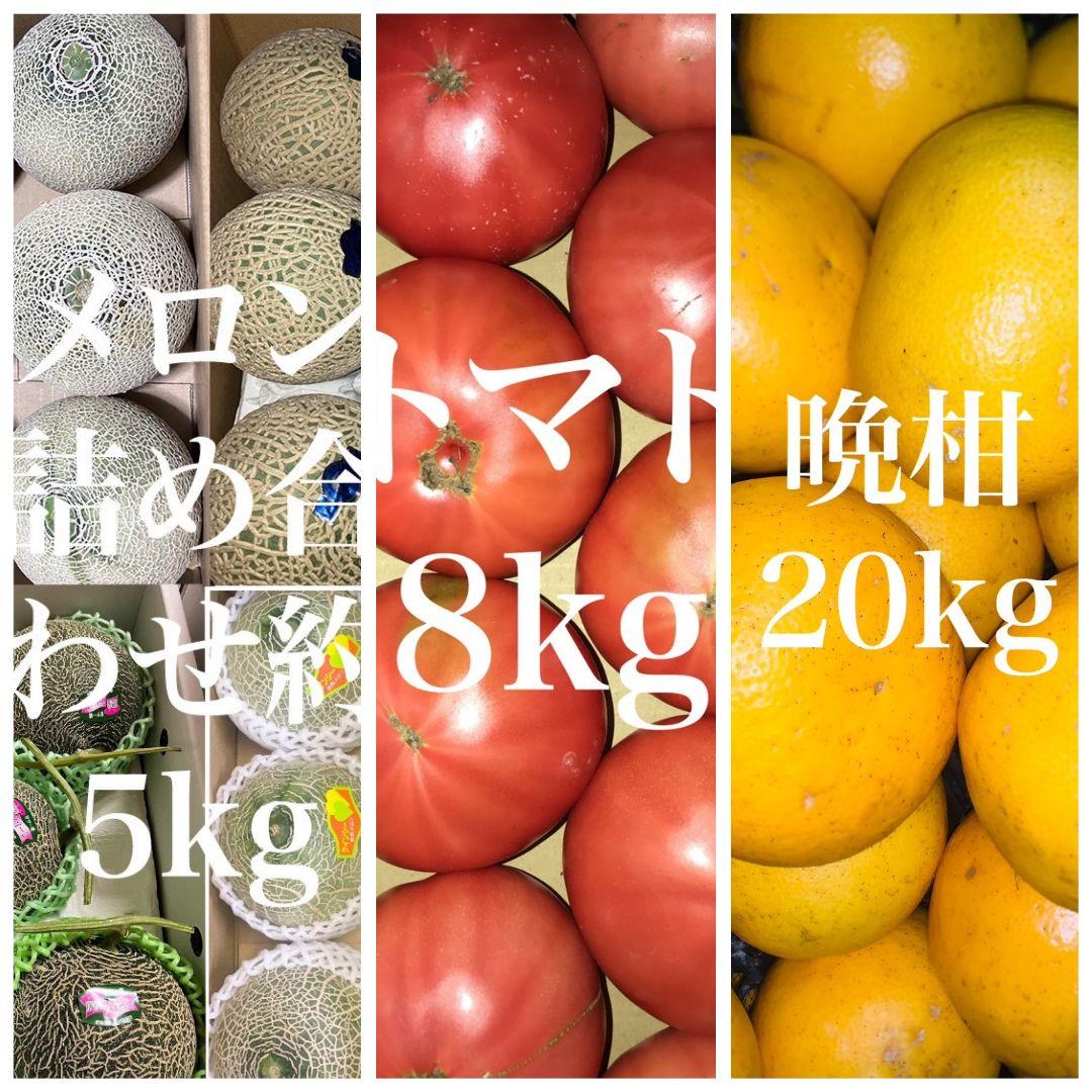 メロン詰め合わせ5kg トマト8kg 晩柑20kg セット 果物