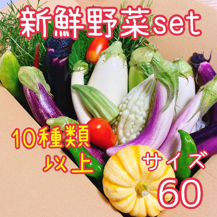 朝採り‼️野菜セット✨10種類以上 詰め合わせ 新鮮 夏野菜 ナス・ゴーヤなど - メルカリ 朝採り‼️野菜セット✨10種類以上 詰め合わせ 新鮮 夏野菜 ナス・ゴーヤなど - メルカリ