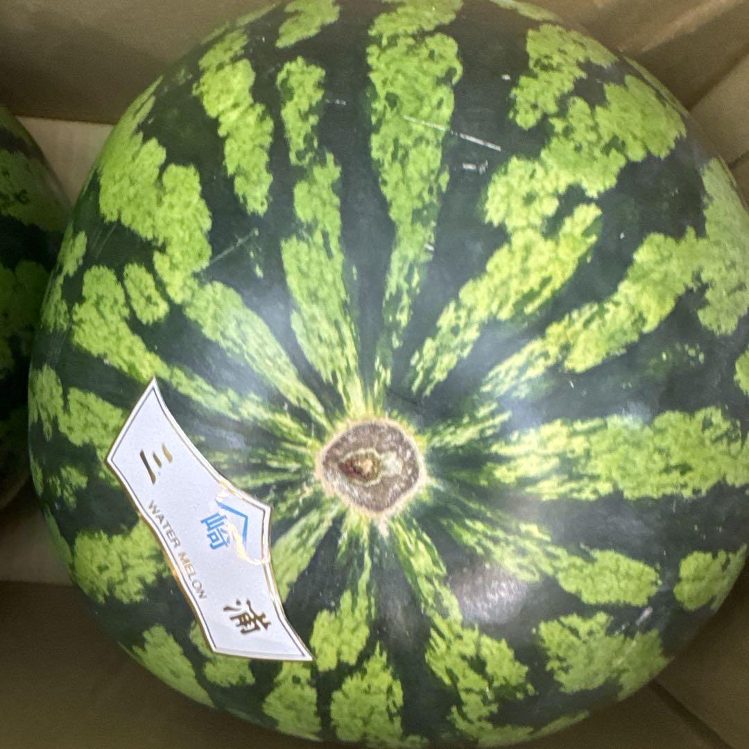 熊本県産良5L黒皮西瓜約12kg。