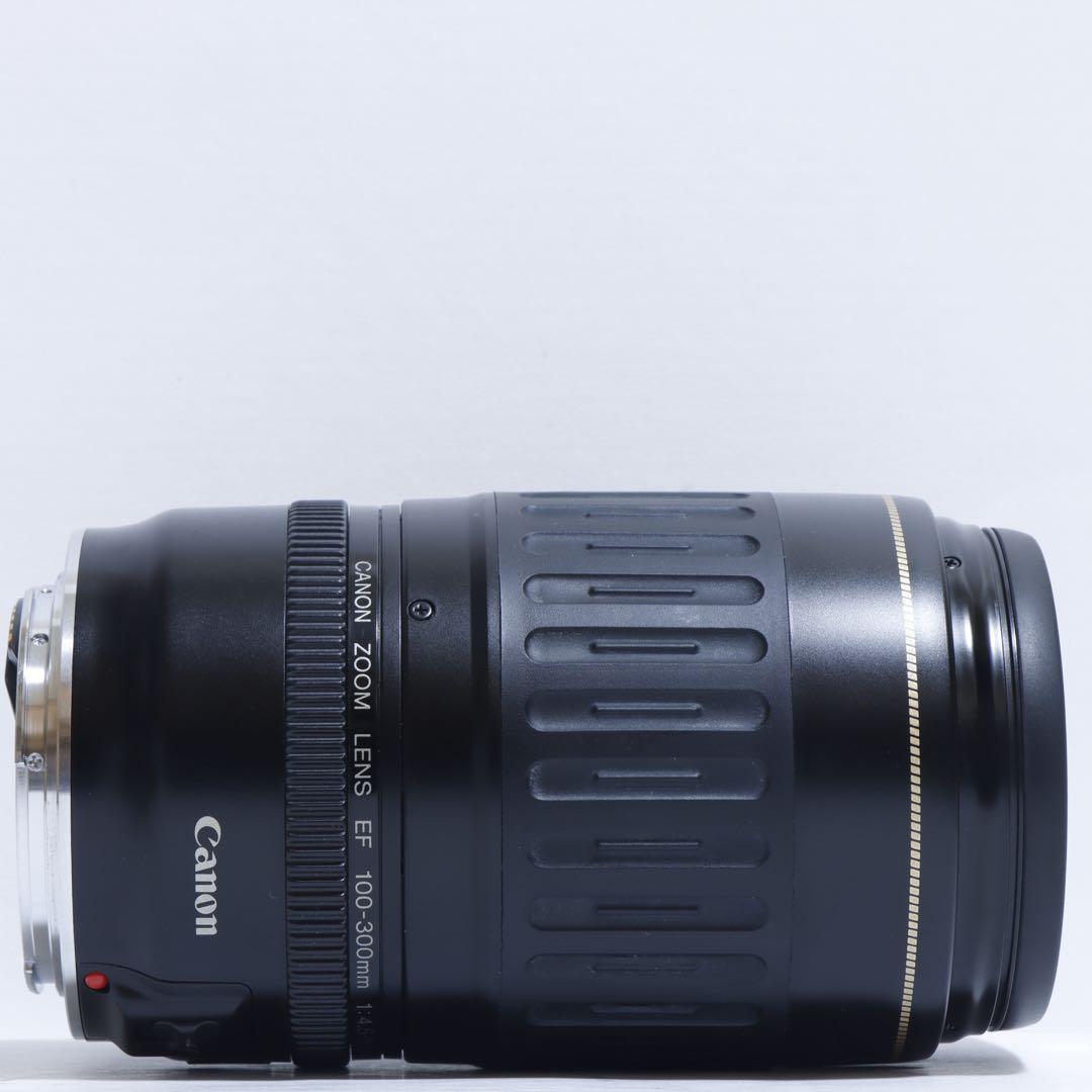 ◇超望遠&高速AF◇Canon純正 300mm 望遠レンズ!!◇ ◇超望遠&高速AF◇Canon純正 300mm 望遠レンズ!!◇