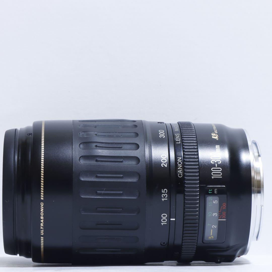 ◇超望遠&高速AF◇Canon純正 300mm 望遠レンズ!!◇ ◇超望遠&高速AF◇Canon純正 300mm 望遠レンズ!!◇