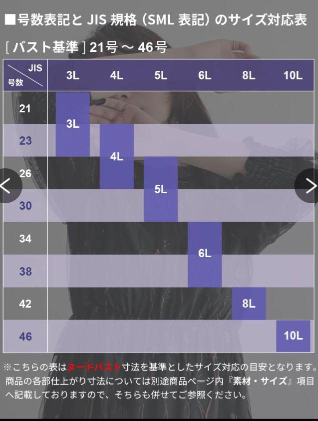新品未使用　カラルス ネイビー レース ワンピース　6Lサイズ