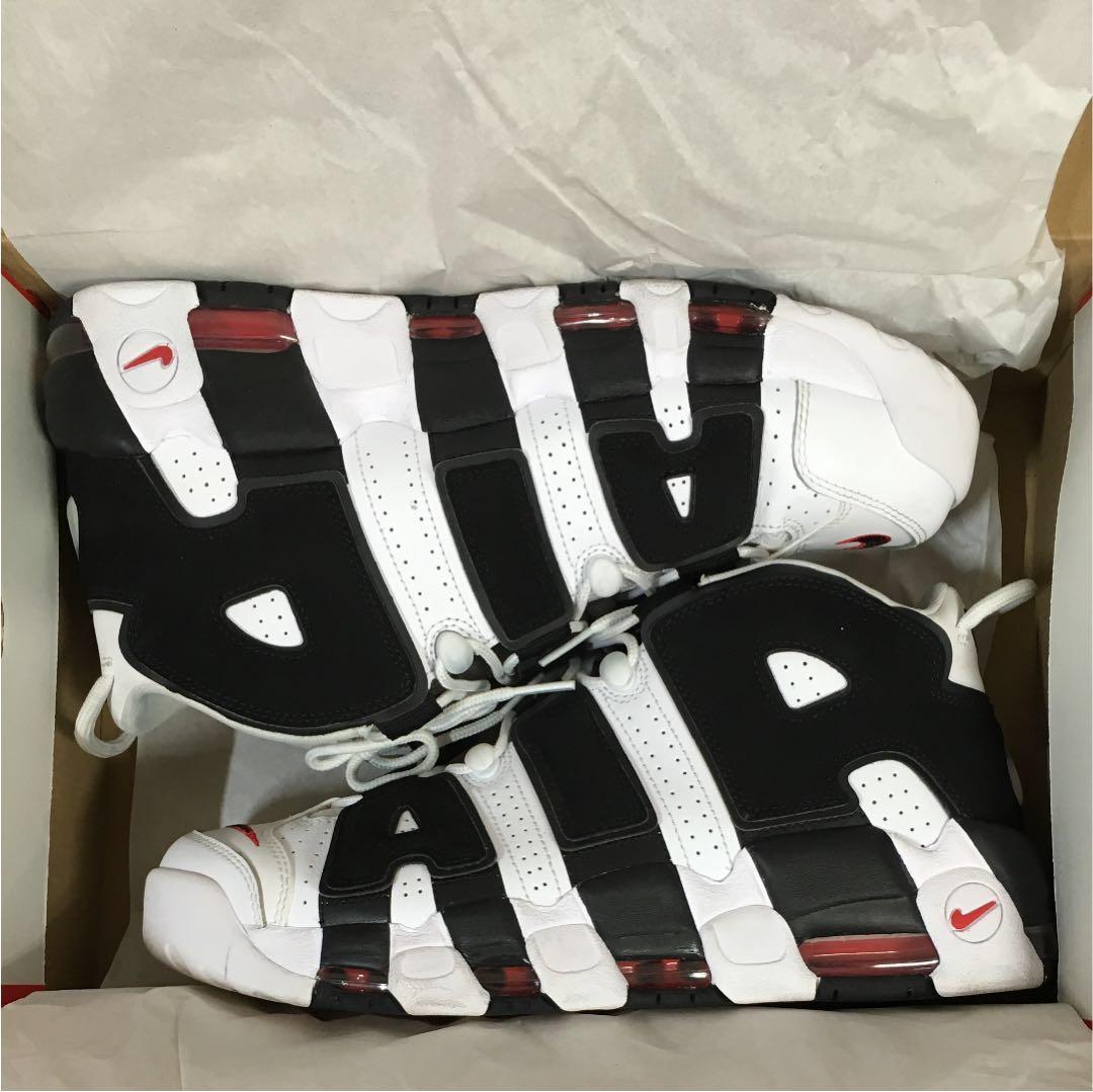 モアテン ゼブラ 29センチ