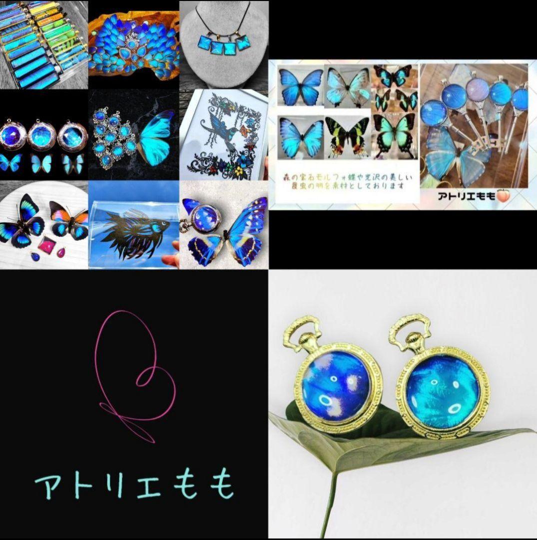 本物のモルフォ蝶の羽の懐中時計