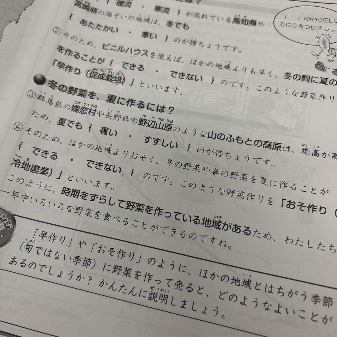 ㉓お　最新版2023年　スプリングサピックス　SAPIX 4年　社会　春期講習
