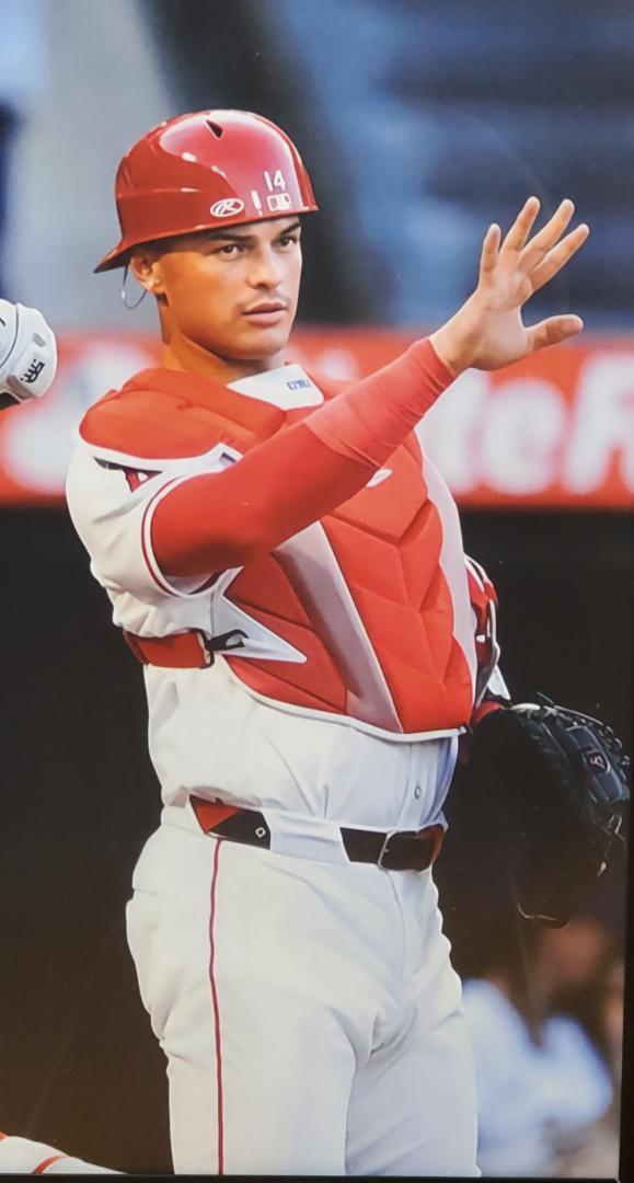 ドジャース大谷翔平.エンゼルスオホッピー MLB！A3サイズ