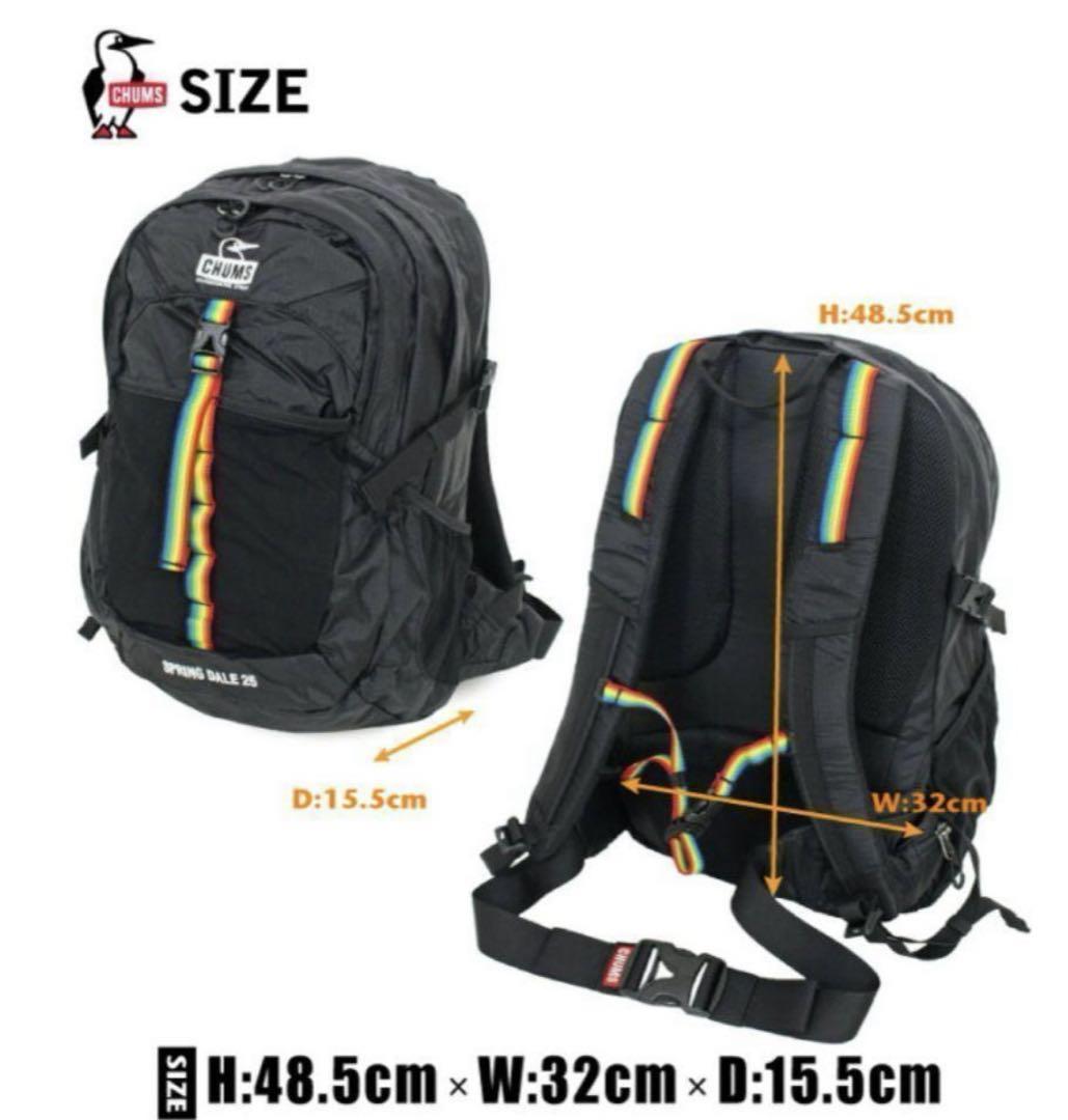 専用　チャムス リュック スプリングデール25