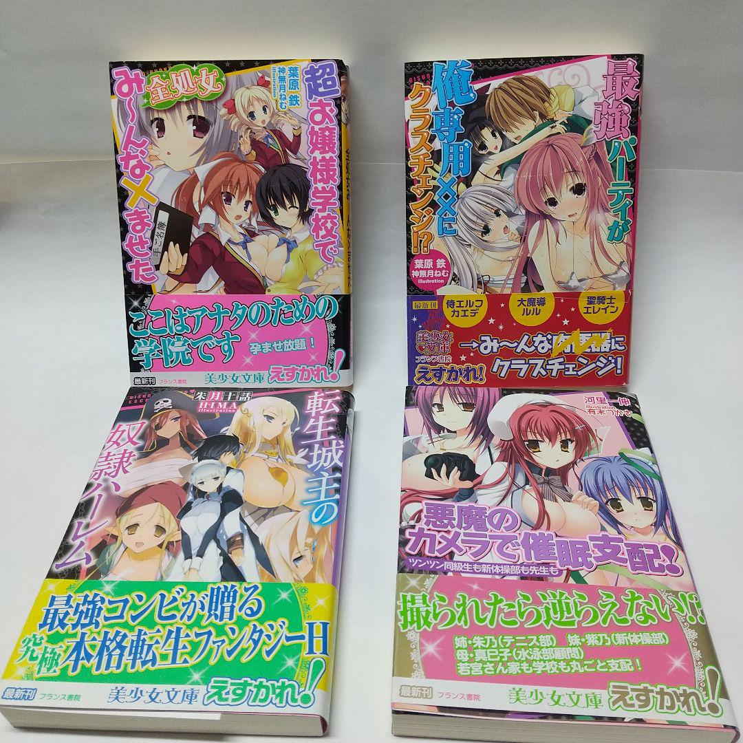 官能小説】フランス書院 美少女文庫 4冊セット - メルカリ
