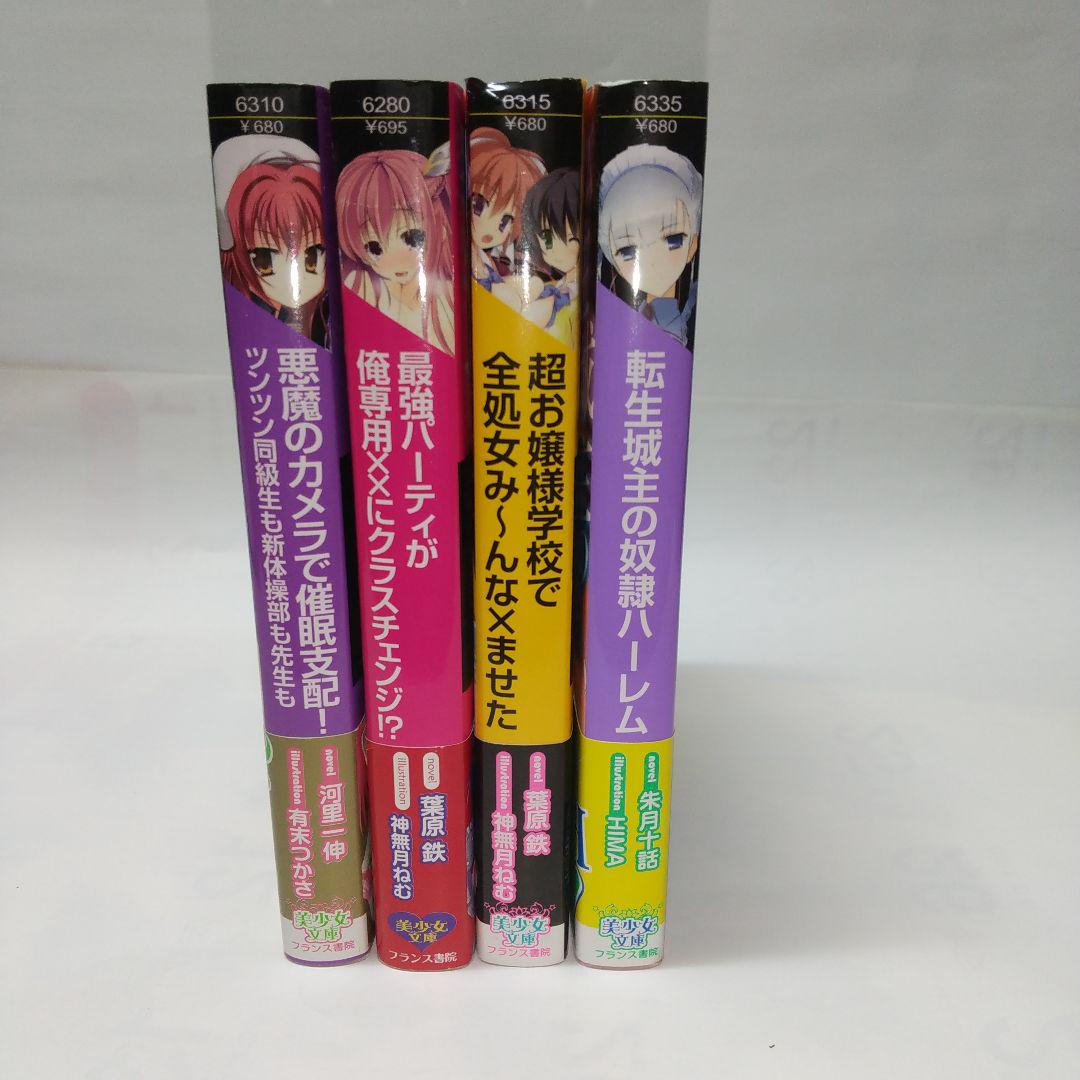 官能小説】フランス書院 美少女文庫 4冊セット - メルカリ