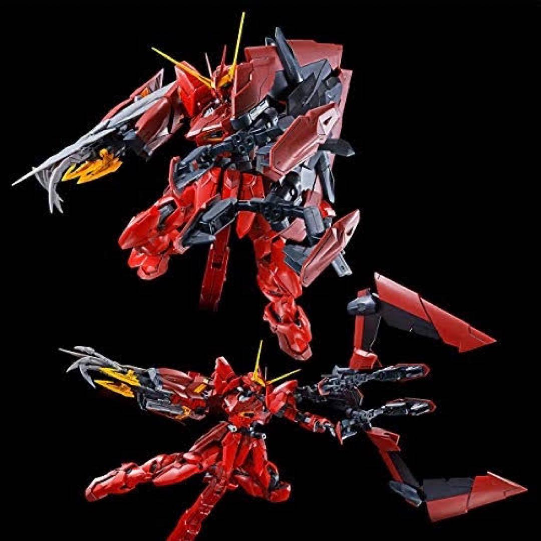 ⭐️新品未組立⭐️ MG テスタメントガンダム【プレバン限定】