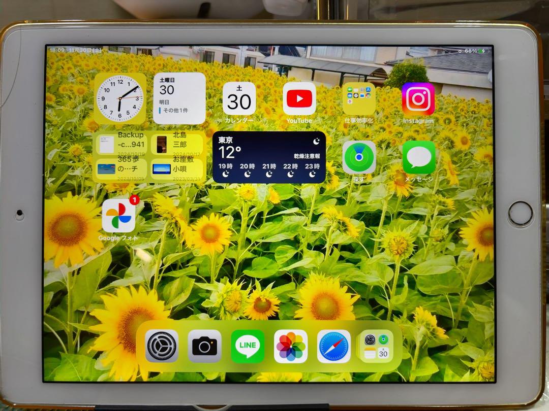 Apple iPad Air2 シルバー 本体