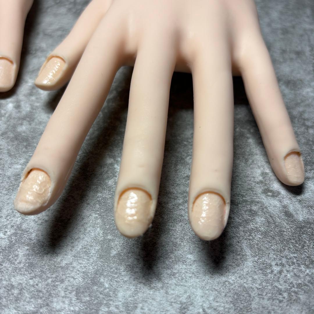 JNEC ネイルハンド チップ付き JNEC認定モデルハンド(両手)チップ、シールつき 滝川 JNEC認定