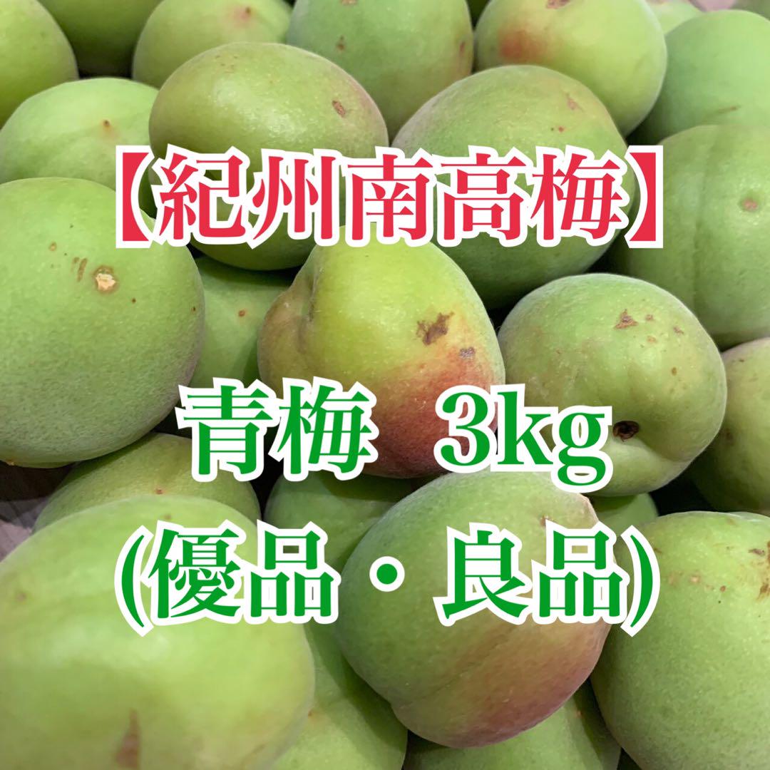 紀州南高梅　青梅　優品・良品　2L・3L　3kg　送料込み