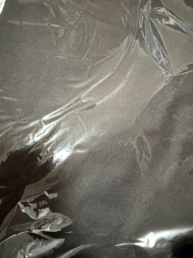 【即日発送】【ＸＬサイズ】fruits zipper BACKROGO Tシャツ