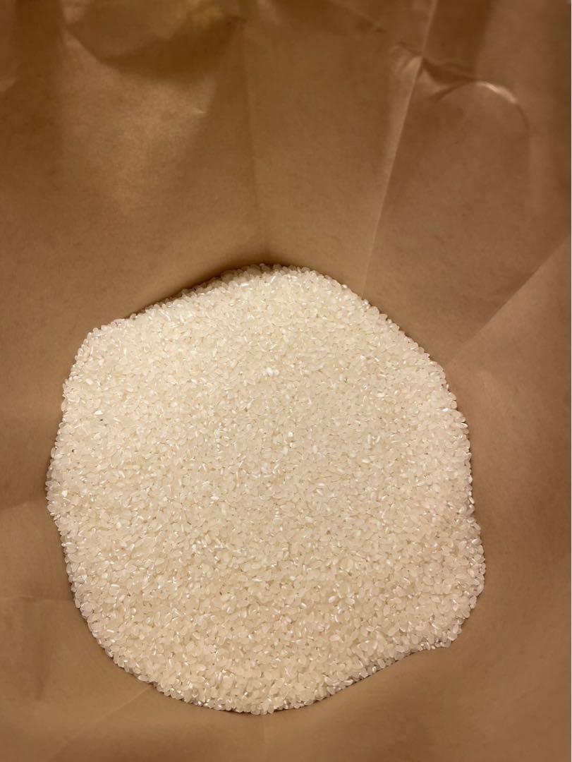 ★白米★10kg★食用可★飼料米として★お米★生活応援★
