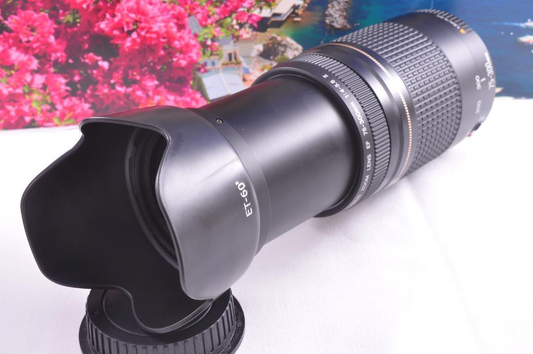 Canon キヤノン 望遠レンズEF75-300mm ♢瞬間激写！#9 - メルカリ