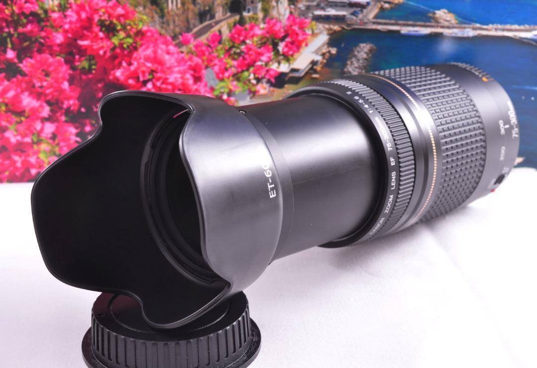 Canon キヤノン 望遠レンズEF75-300mm ♢瞬間激写！#9 - メルカリ