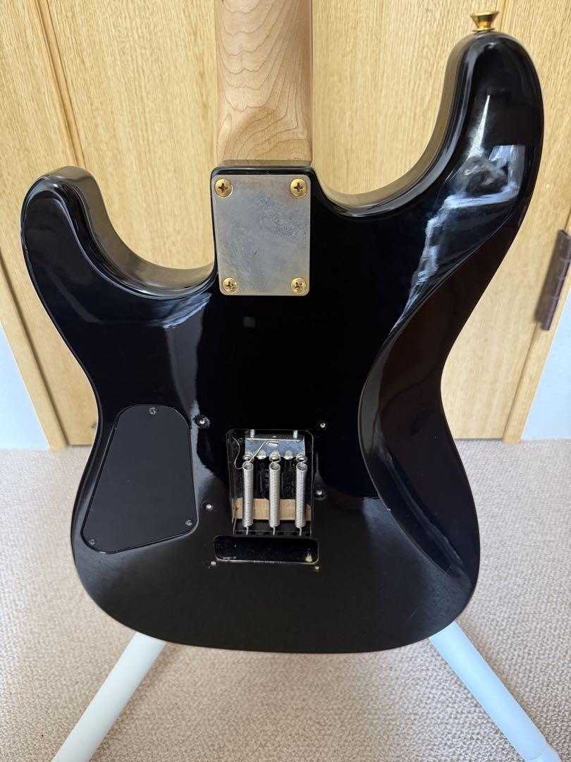 ギター FERNANDES SSH-1G