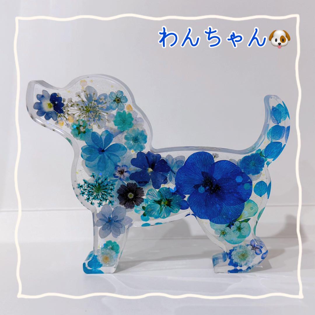 まめたろう様専用✨️