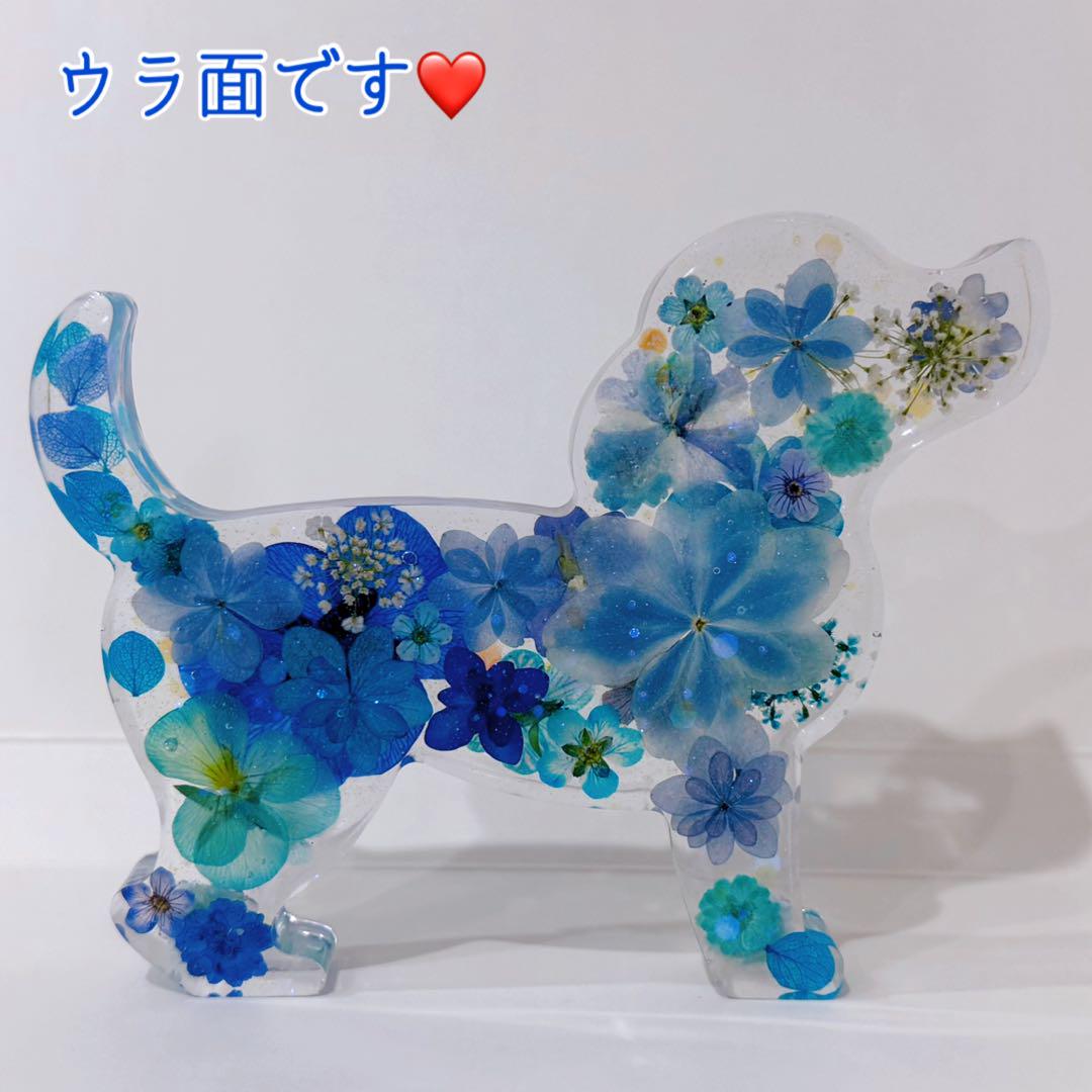 まめたろう様専用✨️