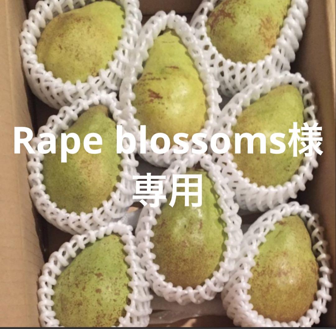 Rape blossoms様専用