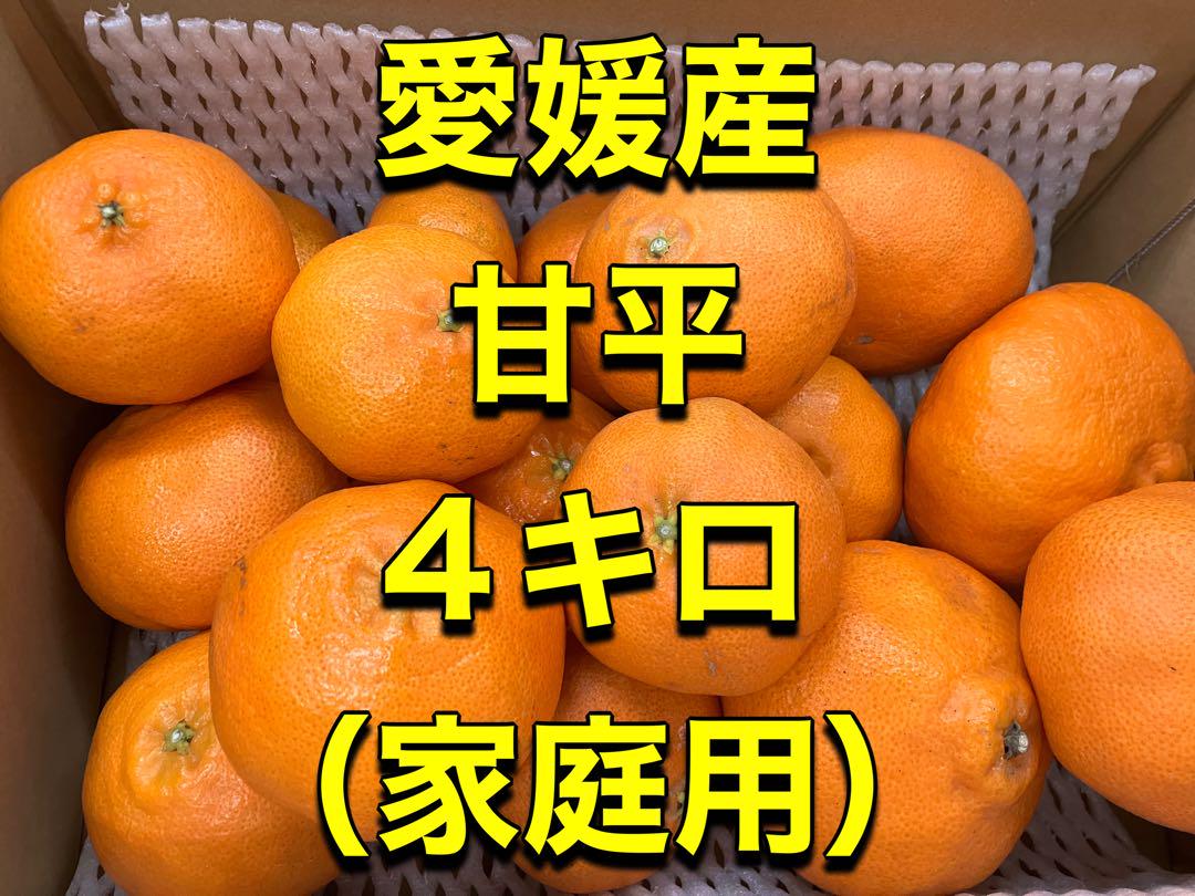 愛媛産 甘平 4キロ (家庭用) ③