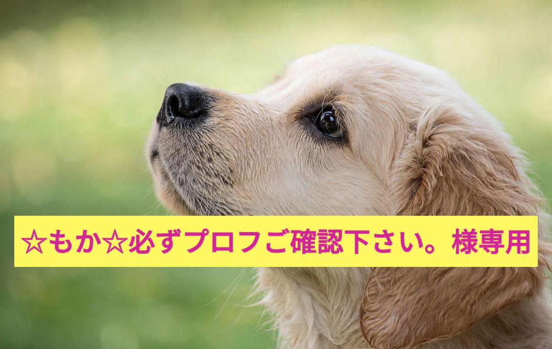 ☆もか☆必ずプロフご確認下さい。様専用　ドッグフード