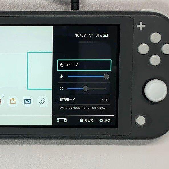 Nintendo Switch Lite 本体 動作品 2019