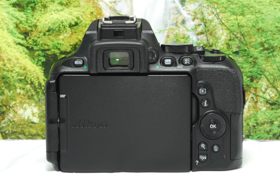 ✨ハイスペック入門一眼レフ✨Nikon D5600✨高画質✨軽量・コンパクト✨