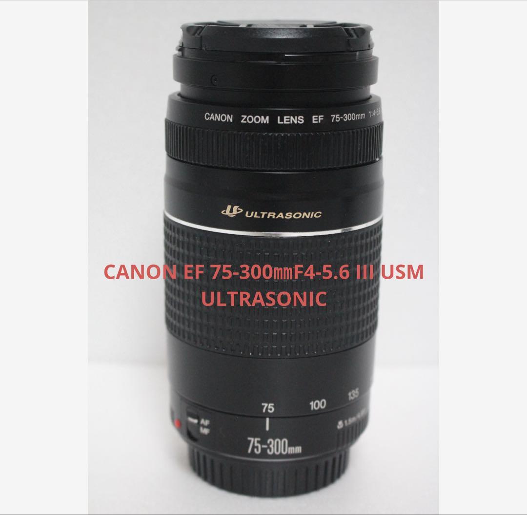 デジタル一眼レフカメラ/大望遠レンズ/Canon EF75-300 USM