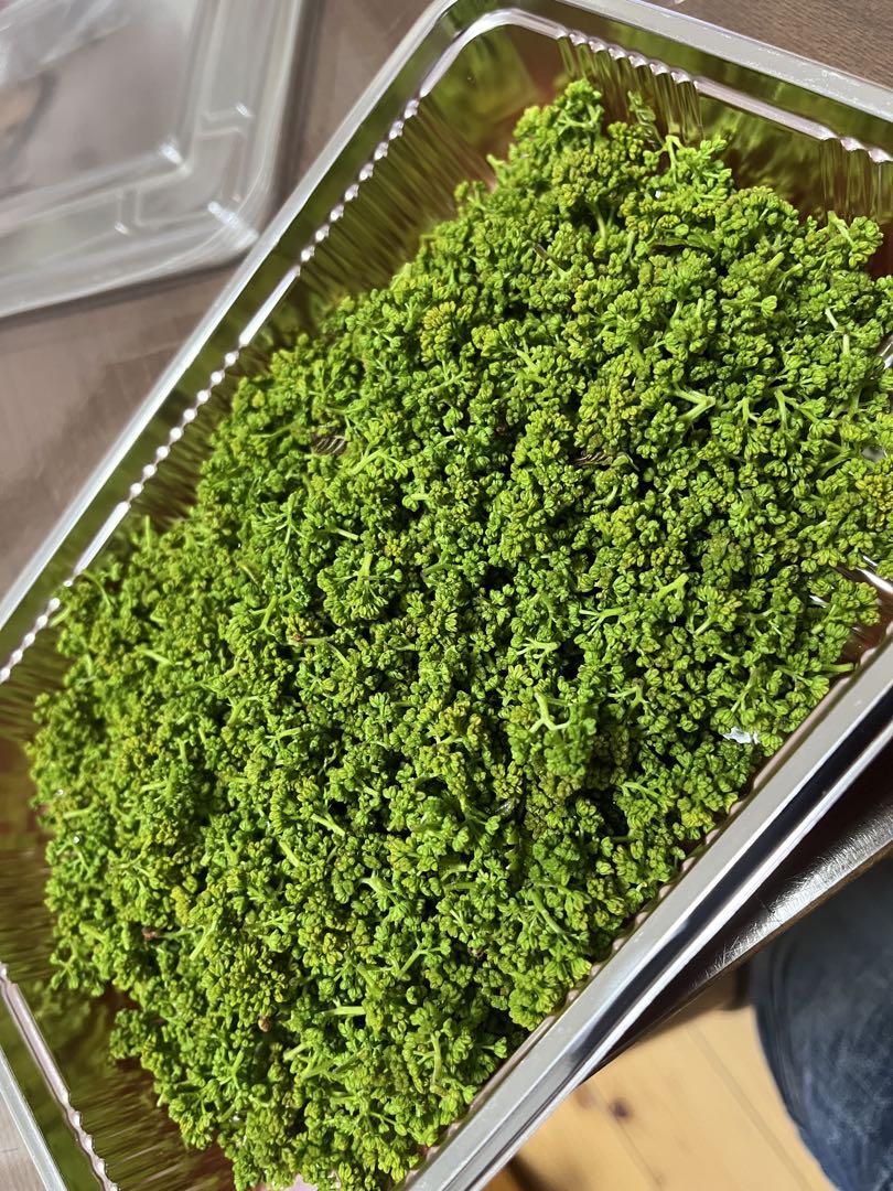 花山椒 100g 奈良県産 なおキングの花山椒セール アウトレット