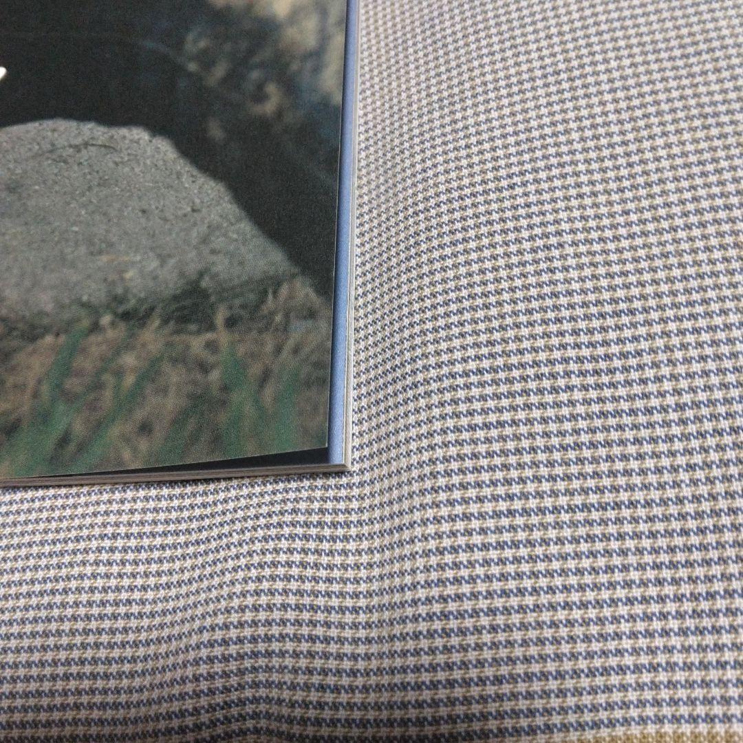 RH DEBUT TOUR 1999 広末涼子ライブパンフレット