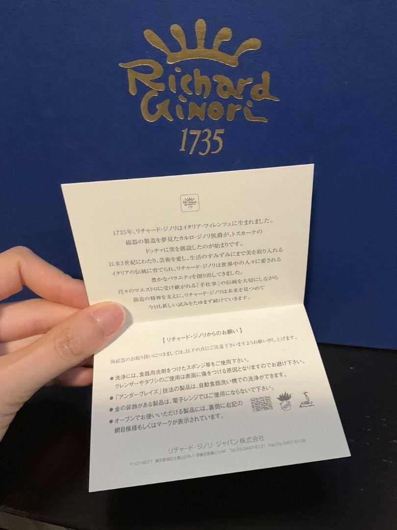 未使用　Richard Ginori　リチャードジノリ ボンジョル丿　プレート