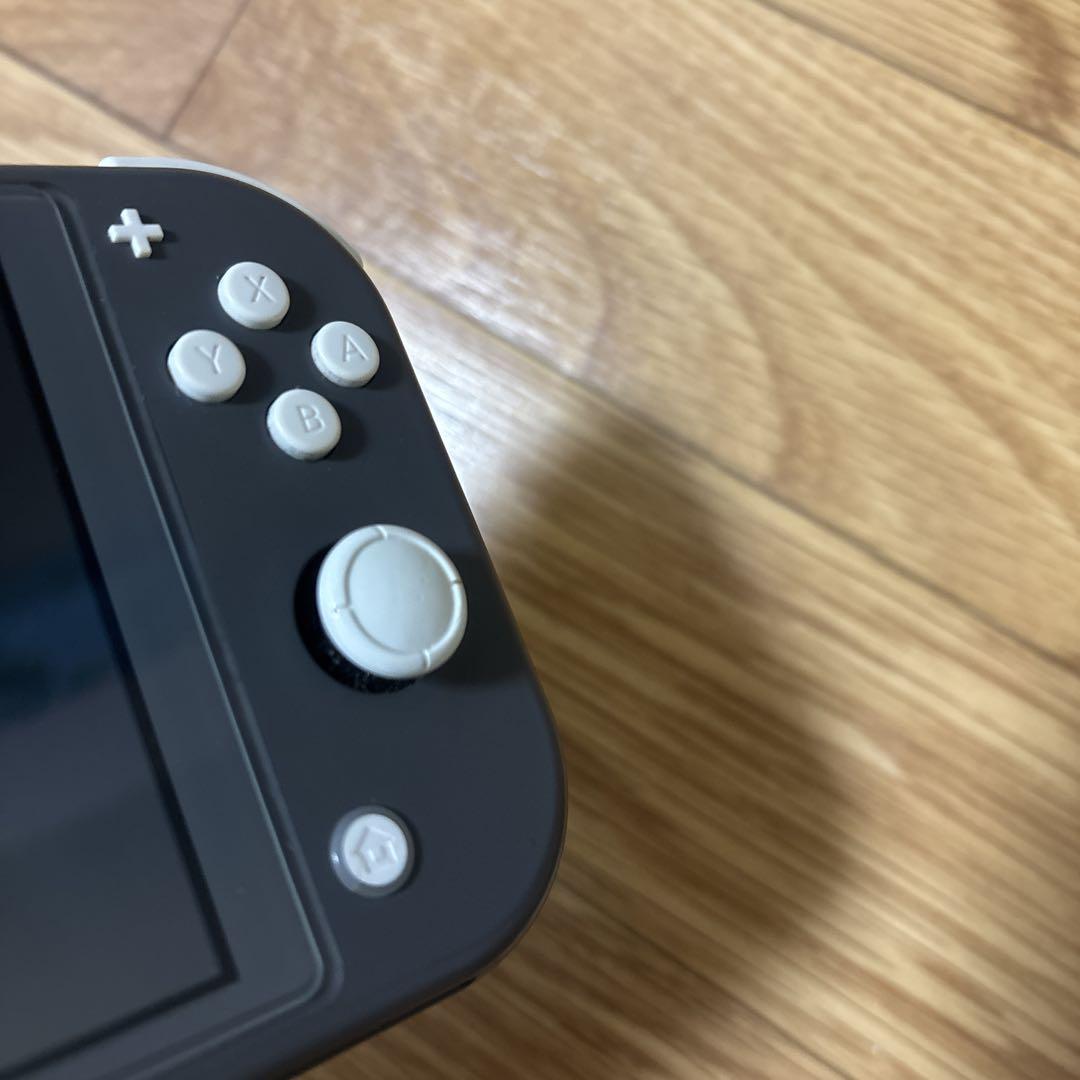 任天堂switchライト ジャンク品 - メルカリ