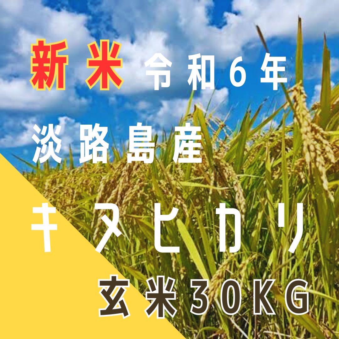 新米　令和6年 産 キヌヒカリ 玄米30キロ 淡路島 精米小分け可30kg