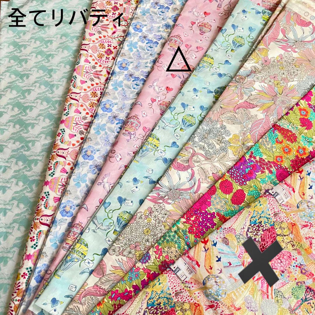 MICページガーデンパーティーTPMサイズバッグインバッグ