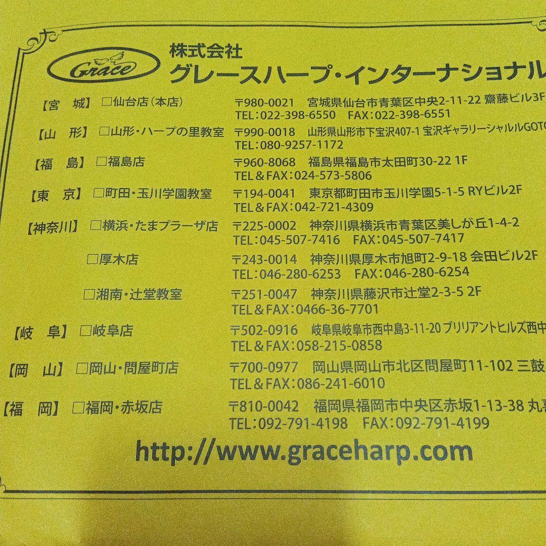 ケース付き ベイビーハープ　 12弦