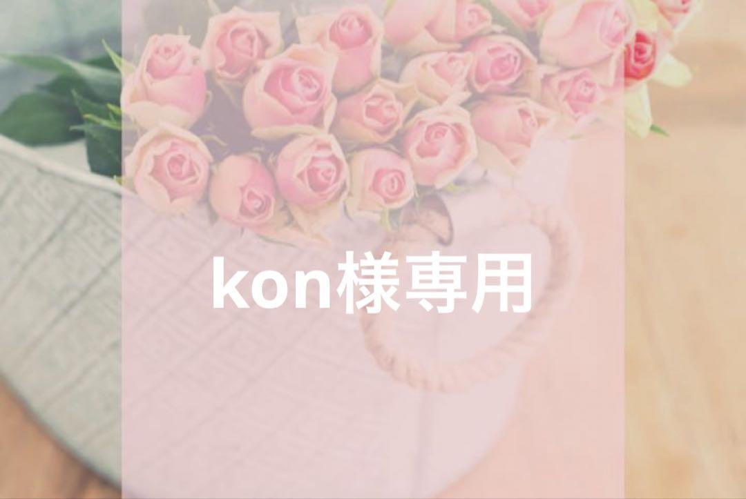 kon様専用/30
